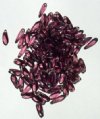 100 3x11mm Transparent Amethyst Dagger Beads